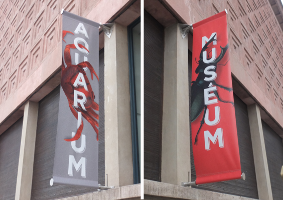 Devisu | Impression pour le Museum Aquarium de Nancy