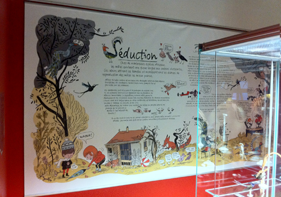 Devisu | Impression pour le Museum Aquarium de Nancy