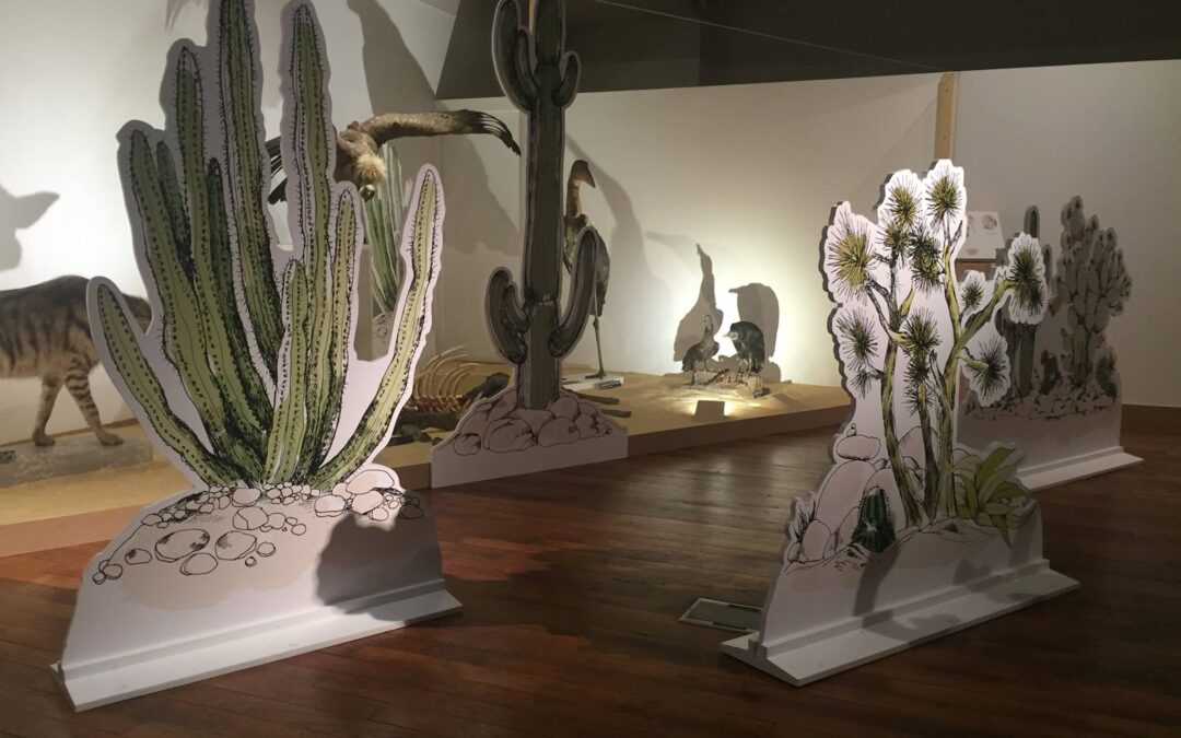 Exposition &lsquo;Moches&rsquo; au Museum Aquarium de Nancy