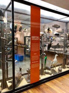 Signalétique Muséum Aquarium