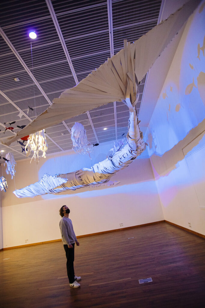 Devisu | Exposition du Muséum-Aquarium de Nancy avec Baleine en PVC Devisu | Exposition du Muséum-Aquarium de Nancy avec Baleine en PVC