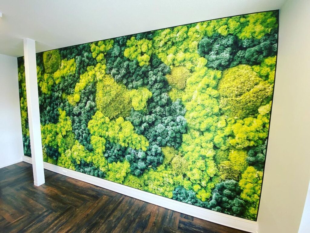 Devisu | Des paysages tropicaux pour NANCOMCY