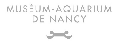 LogoMuséum-aquariumdeNancy